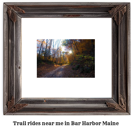 trail rides near me in Bar Harbor, Maine